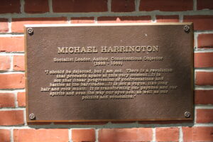 Michael Harrington Quote